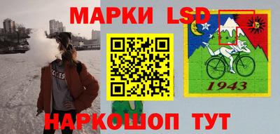 СК Кандалакша