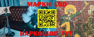 СК Кандалакша