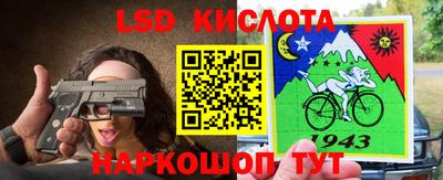 СК Кандалакша
