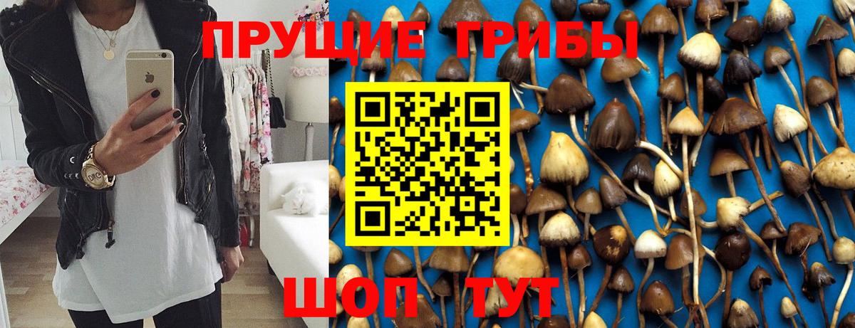 Лабинск  Галлюциногенные грибы Psilocybe  Псилоцибиновые грибы Psilocybine cubensis  Вход с VPN 
